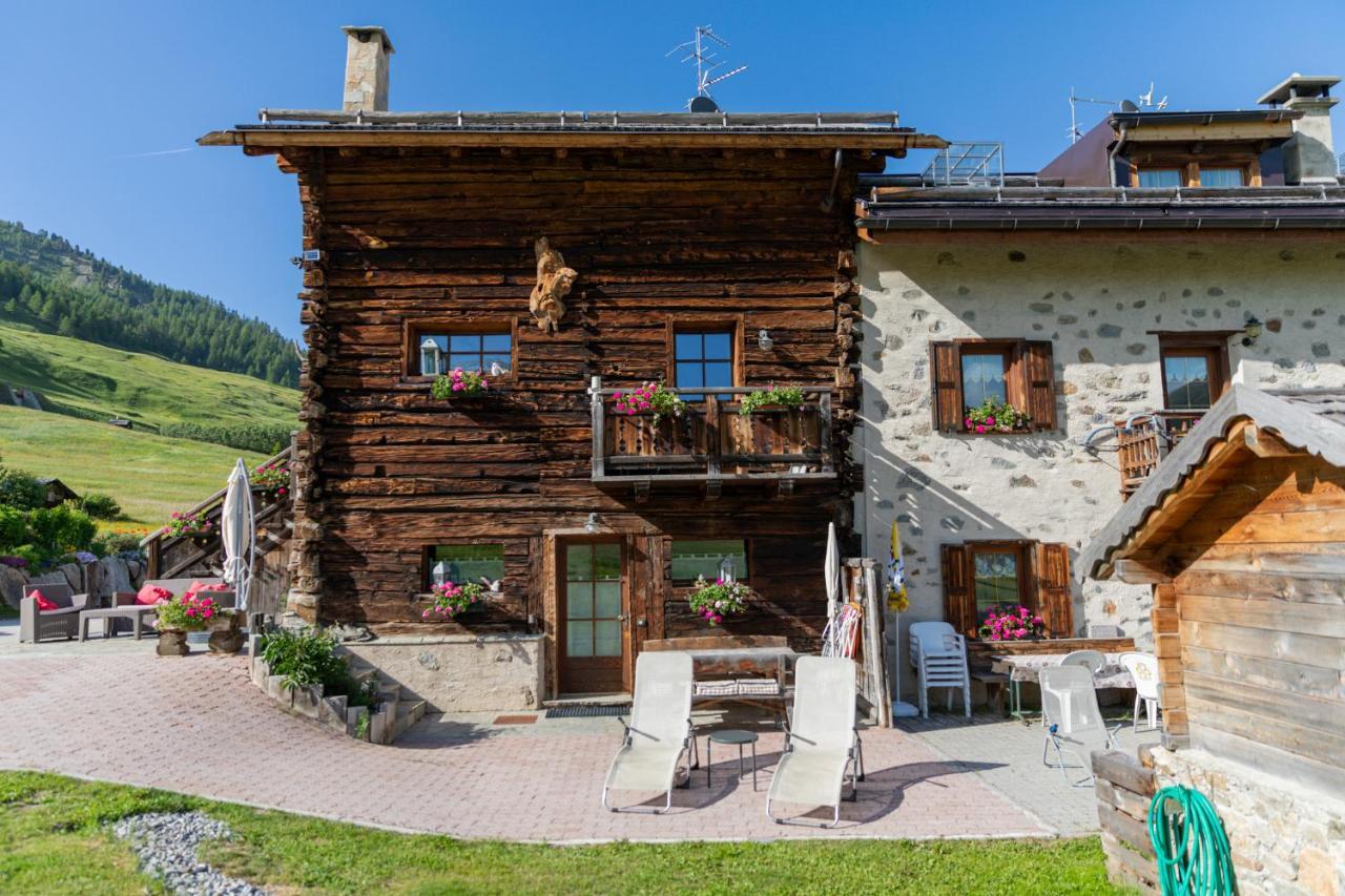 Apartment Mistral *