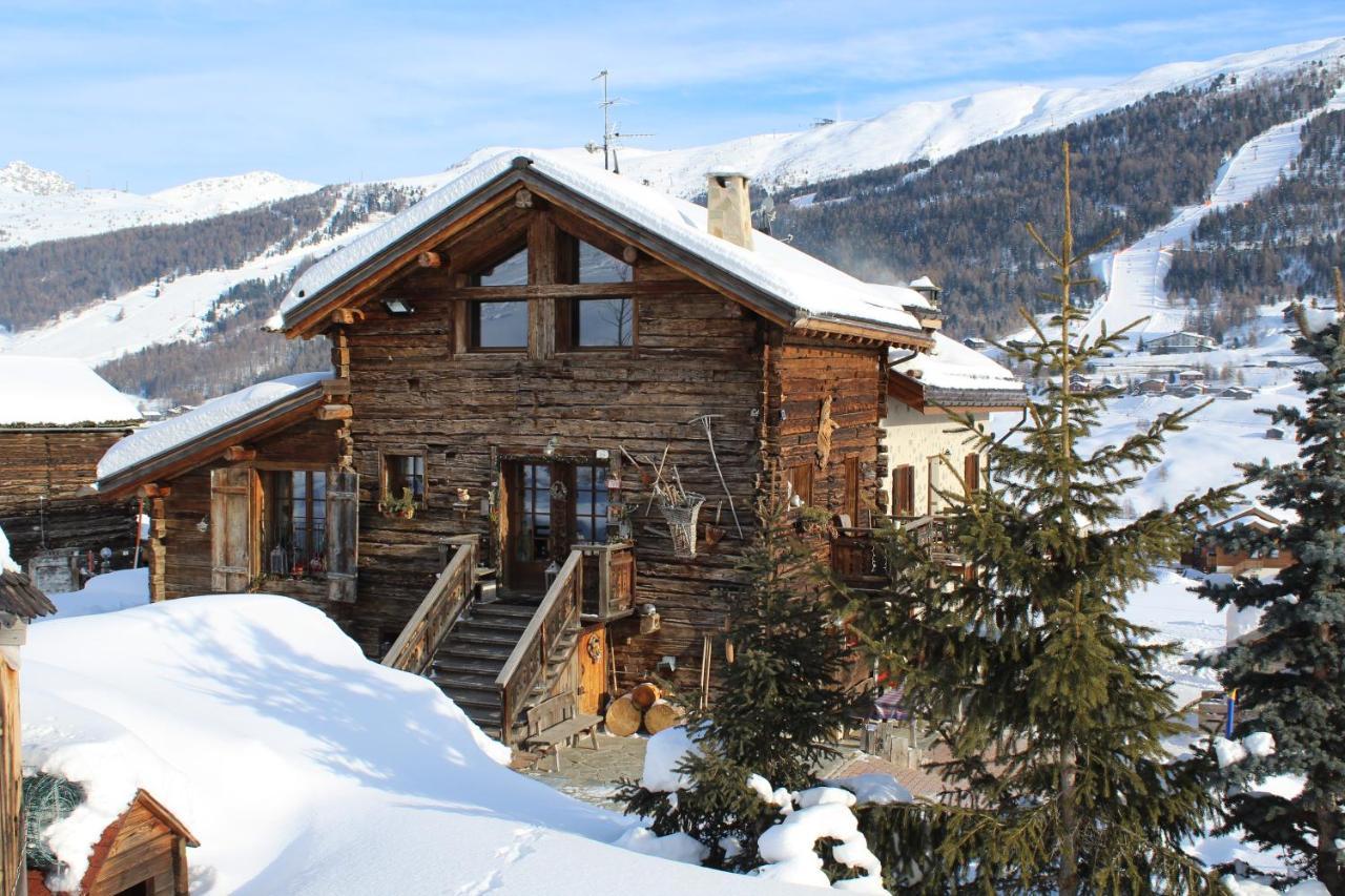 Appartement Mistral