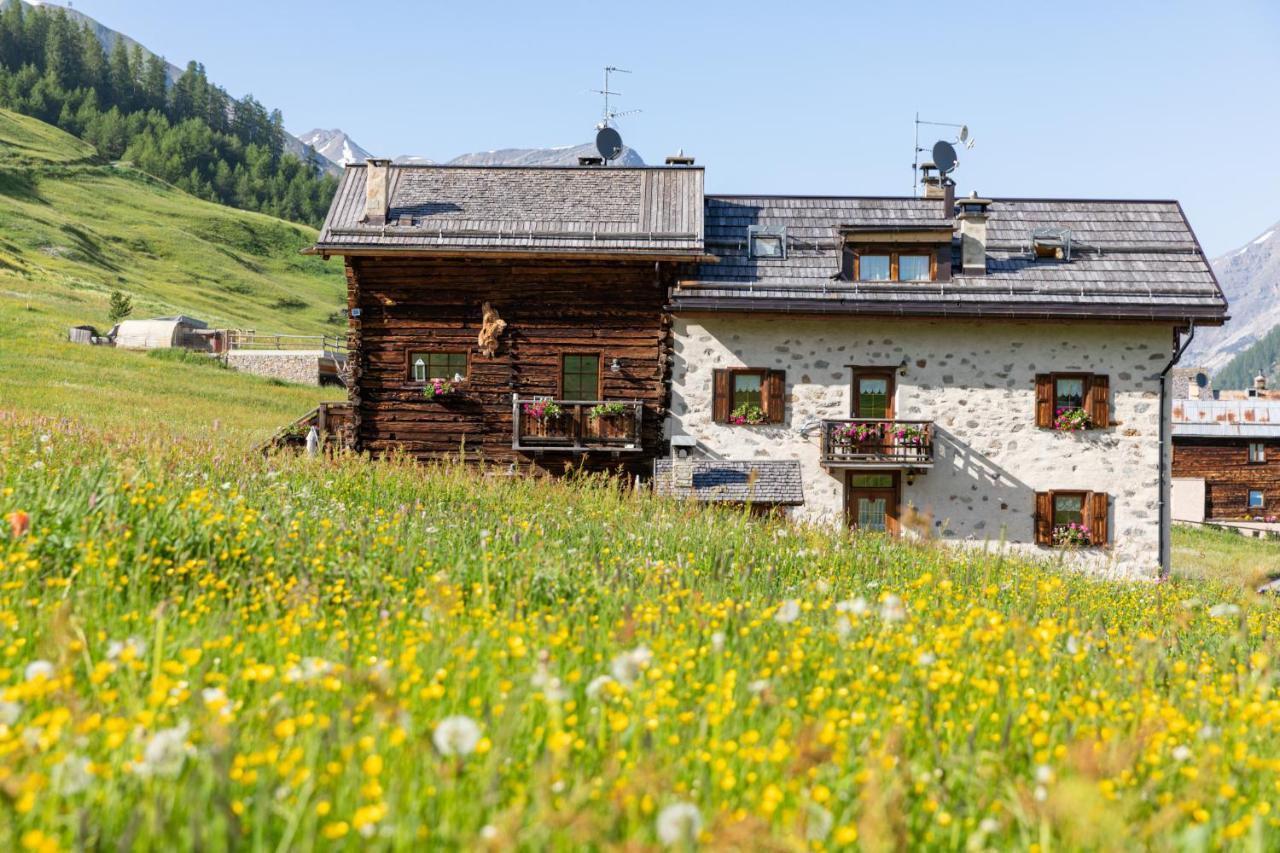 Mistral Appartement